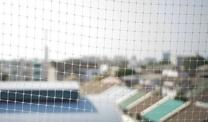 Bird netting in hyderabad,premium quality